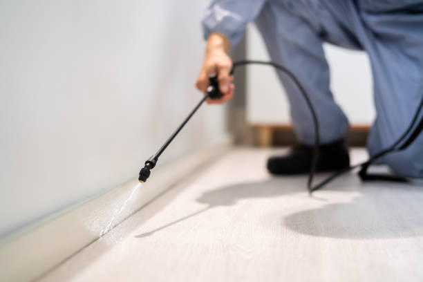 Licensed Cockroach Control service in The Hills, TX - Nex Pest Control