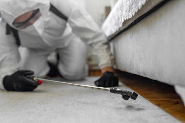 Professional Cockroach Control technician working in The Hills, TX