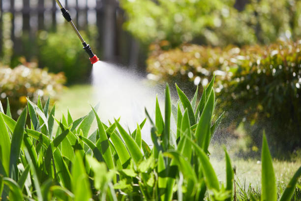 24/7 Emergency Cockroach Control experts in The Hills, TX