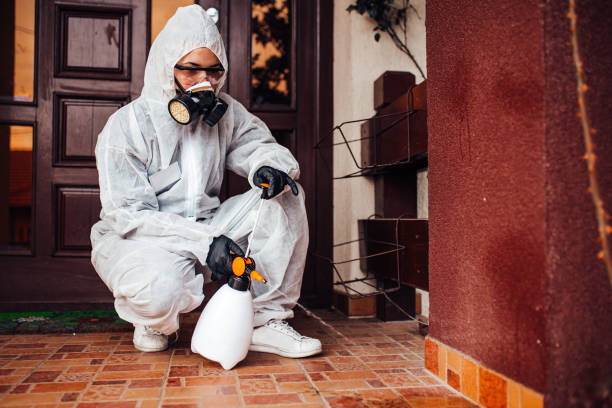Reliable Cockroach Control contractor in The Hills, TX by Nex Pest Control
