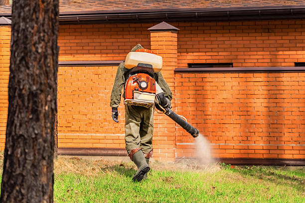 Trusted Ant Control service in The Hills, TX - Nex Pest Control